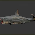 Gray Shark With Open Red Mouth And Reflective Surface On Dark Background 3d model