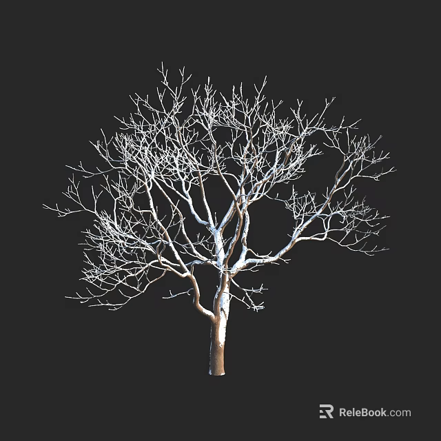 Leafless Arbor with Detailed Branches and Trunk on Black Background 3d model