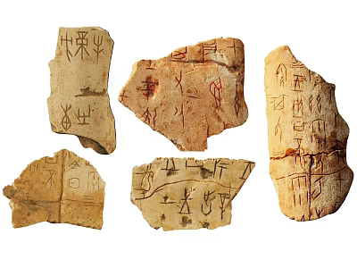 Ancient Inscribed Oracle Bone Fragments Decorative Ornament Set For 3d model