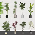 Assorted Indoor Potted Leafy Plants in Different Decorative Pots for Home Decor 3d model