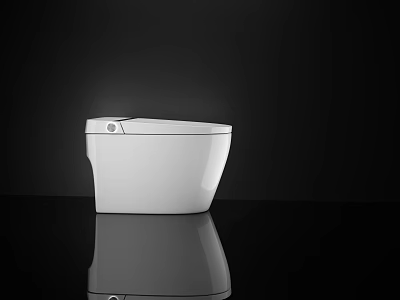 Modern White Ceramic Toilet With Sleek Design Smooth Surface And Contemporary Style 3d model