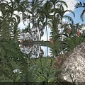 Lush Tropical Arbor Trees in Natural Garden With Reflective Pond And Colorful Flowers