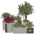 Concrete Flower Planters With Red Green Shrubs And Trees In Outdoor Area