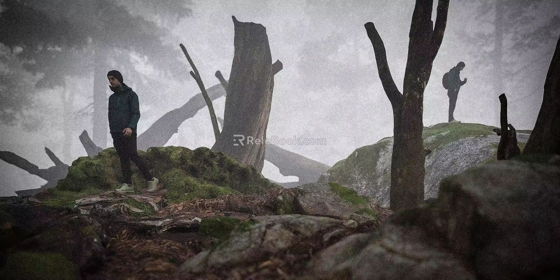 Forest Trees Timber Trees Stones Moss Mist Figure 3d model