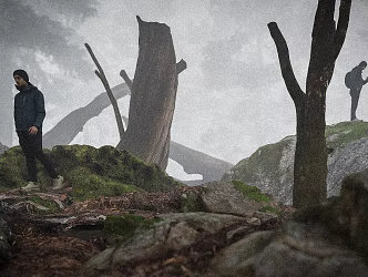 Forest Trees Timber Trees Stones Moss Mist Mist Figure 3d model