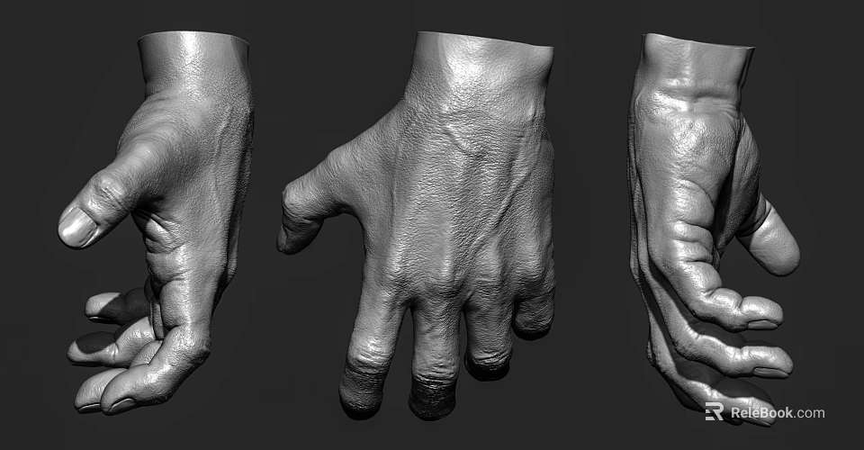 Detailed 3D Hand Models With Various Poses And Realistic Textures 3d model 