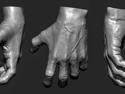 Detailed 3D Hand Models With Various Poses And Realistic Textures 3d model