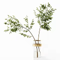 Clear Glass Vase With White Pebbles And Green Fern Fronds Home Decor