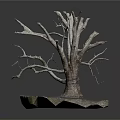 Decorative Dry Tree With Detailed Twisted Branches And Mossy Stone Base