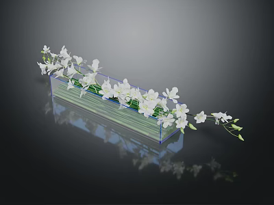 Clear Rectangular Vase With White Flowers And Green Leaves On Dark Reflective Surface 3d model