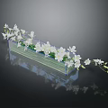 Clear Rectangular Vase With White Flowers And Green Leaves On Dark Reflective Surface