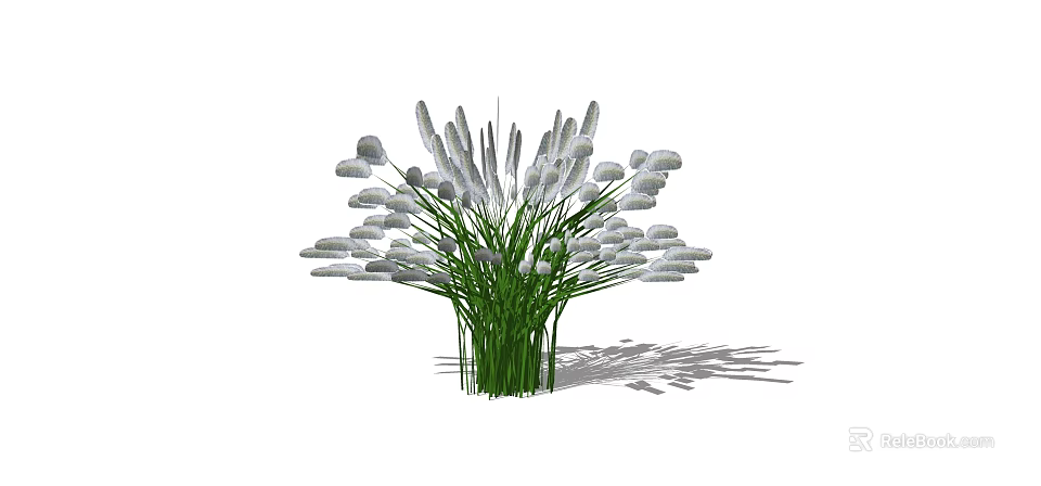 Lush Green Shrub with White Plume Flowers and Long Stems Casting Shadow 3d model 