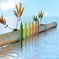 Plants on floating pipe with green yellow orange brown leaves under blue sky white clouds