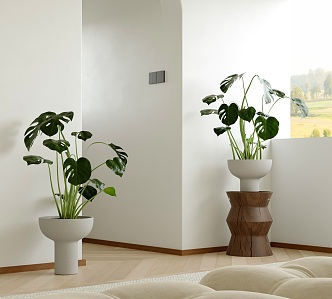 Green plant potted bamboo potted big leaf plant tall flower pot solid wood side table 3d model