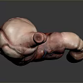 Detailed 3D Model of Human Digestive Organs with Visible Blood Vessels