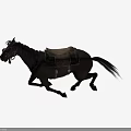 Detailed Black Horse Galloping With Saddle And Bridle In Motion