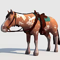 Brown And White Spotted Horse With Saddle Bridle And Riding Gear