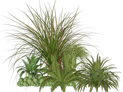Mixed Plant Combination With Long Leafy Ferns Clustered Green Pods And Lush Greenery 3d model