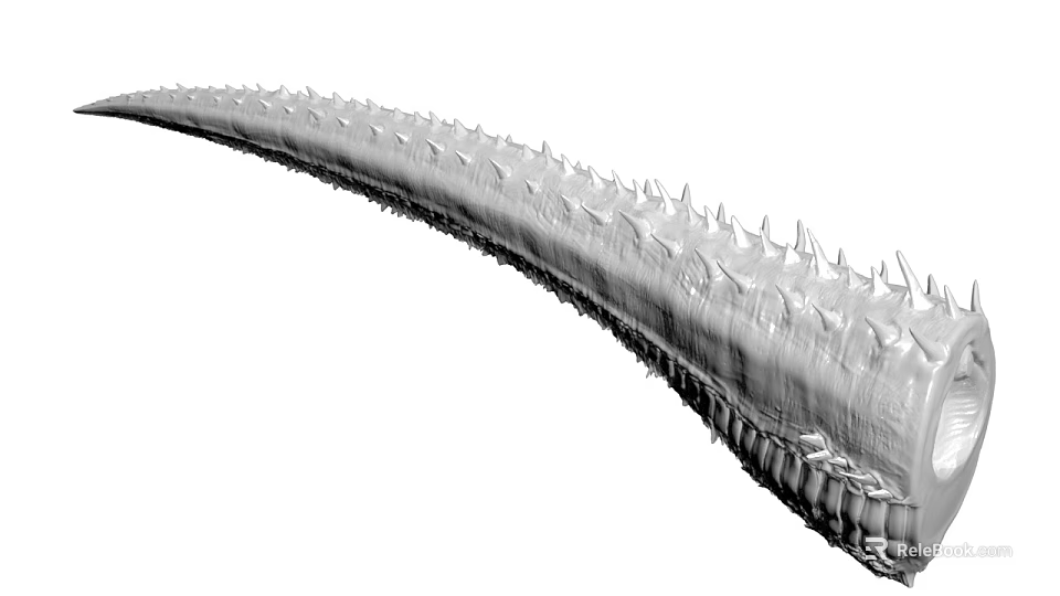 3D Model Of Long Curved Structure With Sharp Spikes And Detailed Textured Surface 3d model 