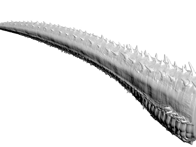 3D Model Of Long Curved Structure With Sharp Spikes And Detailed Textured Surface 3d model