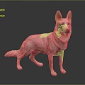 White Dog Standing on Black Background with Detailed Texture and Lifelike Posture