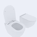 Modern Sleek Toilet Design Featuring Closed Lid And Open Seat Views