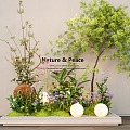 Plant Combination Flower Box Potted Plant Bonsai Flower Box Green Plant Flower Group 3d model