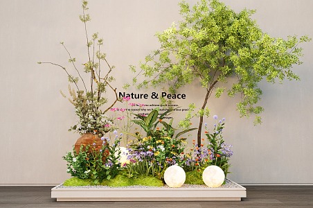 Plant Combination Flower Box Potted Plant Bonsai Flower Box Green Plant Flower Group 3d model