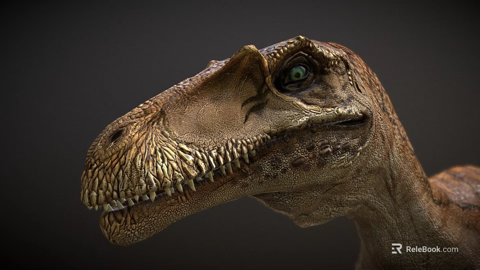 Detailed Dinosaur Head Close Up With Sharp Teeth And Green Eyes 3d model