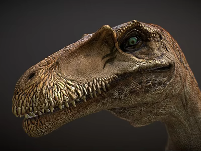 Detailed Dinosaur Head Close Up With Sharp Teeth And Green Eyes 3d model