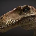 Detailed Dinosaur Head Close Up With Sharp Teeth And Green Eyes 3d model