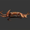 Red Crab With Extended Legs Large Claws And Shiny Body On Dark Background