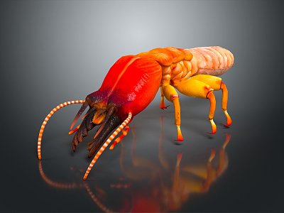 Ant White Ant Insect Animal Game Animal Cartoon Animal PBR Animal Realistic Animal 3d model