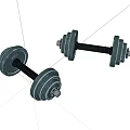 Pair of Metal Dumbbells With Weight Plates And Black Handles For Fitness