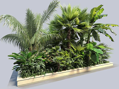 Lush Tropical Green Plants With Palm Leaves And Large Foliage In Decorative Planter 3d model