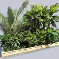 Lush Tropical Green Plants With Palm Leaves And Large Foliage In Decorative Planter