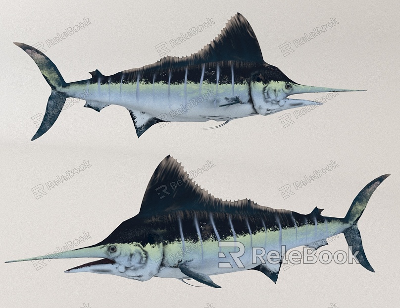 marine tuna fish model