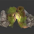 Modern Landscape Design Featuring Rocks Moss And Small Green Plants Arrangement