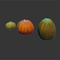 Modern Pumpkin Vegetable Plant 3d model