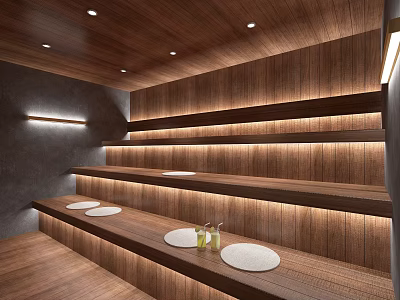 SPA Sauna Room With Wooden Panels Layered Shelves And Lighting 3d model