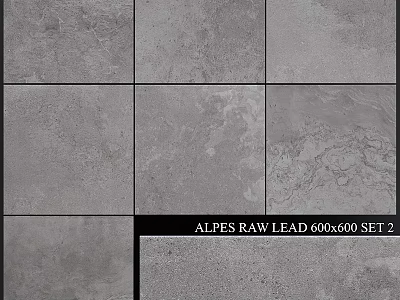 Alpes Raw Lead 600x600 Tile Set With Gray Textured Finish For Floors And Walls 3d model