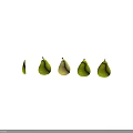 Fresh Green Pears Displayed in Whole Bitten and Sliced States on Dark Background