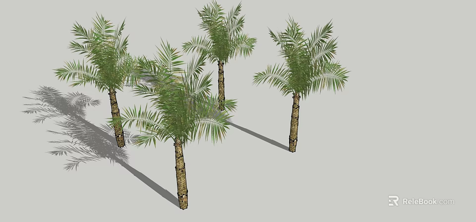Tall Palm Trees With Brown Trunks Green Leaves And Shadows In 3d model 