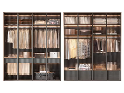 Modern Wardrobe Interior Design With Shelves Drawers Hanging Rods And Organized Storage 3d model