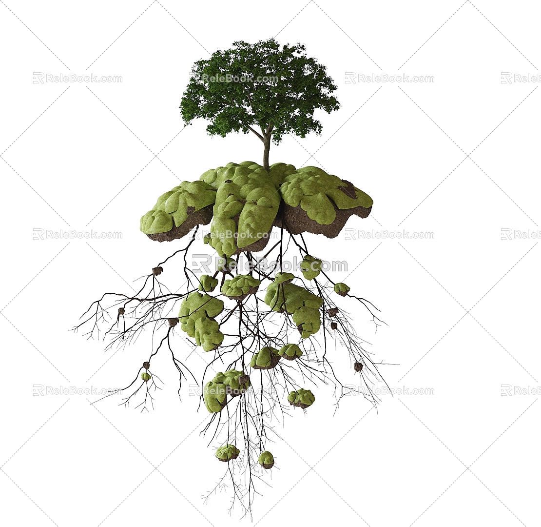 plant ornaments 3d model