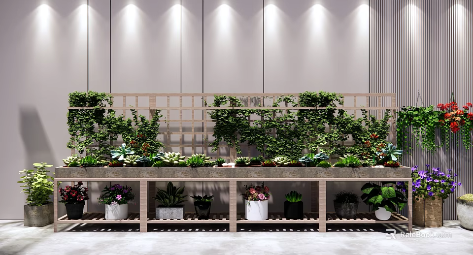 Bonsai and Potted Plants Display with Various Greenery on Wooden Shelves Indoor 3d model 
