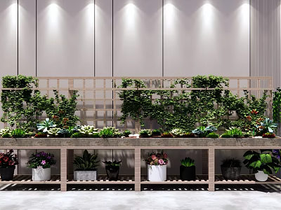 Bonsai and Potted Plants Display with Various Greenery on Wooden Shelves Indoor 3d model