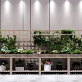 Bonsai and Potted Plants Display with Various Greenery on Wooden Shelves Indoor