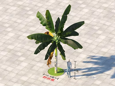 Tall Palm Tree With Large Green Leaves In Paved Square Landscape Setting 3d model
