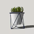 Modern Potted Plant With Green Pointed Leaves In White Conical Pot And Blue Metal Frame